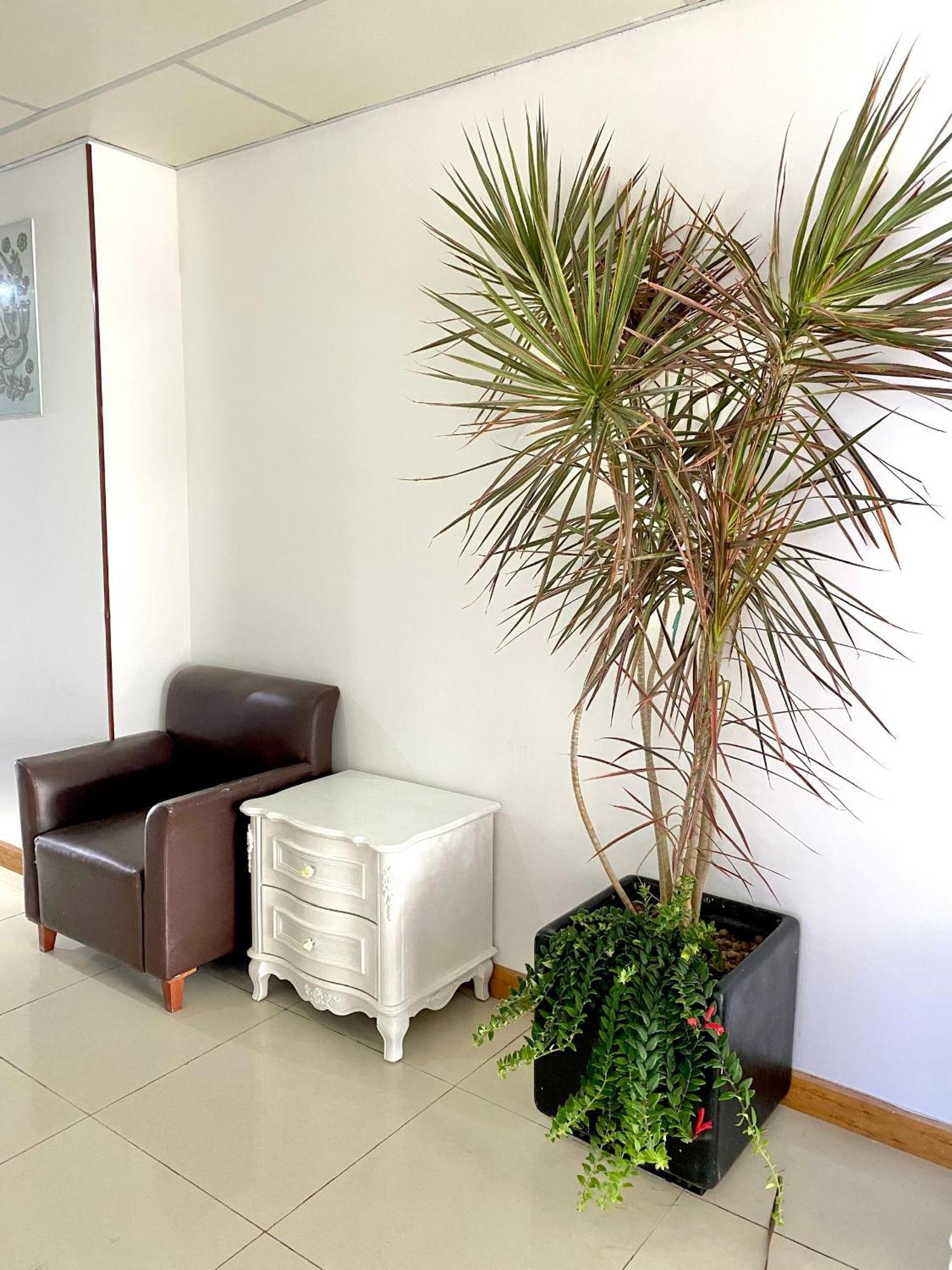 Zozo House - Homestay Bai Sau Vung Tau Eksteriør bilde